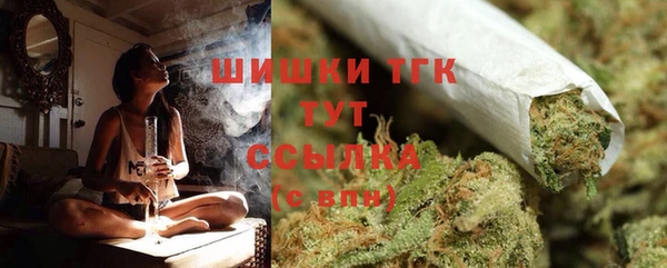 соль ск Арсеньев