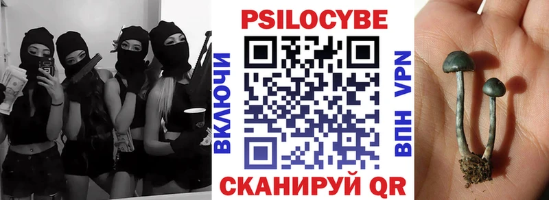 Галлюциногенные грибы Psilocybine cubensis  Ельня 